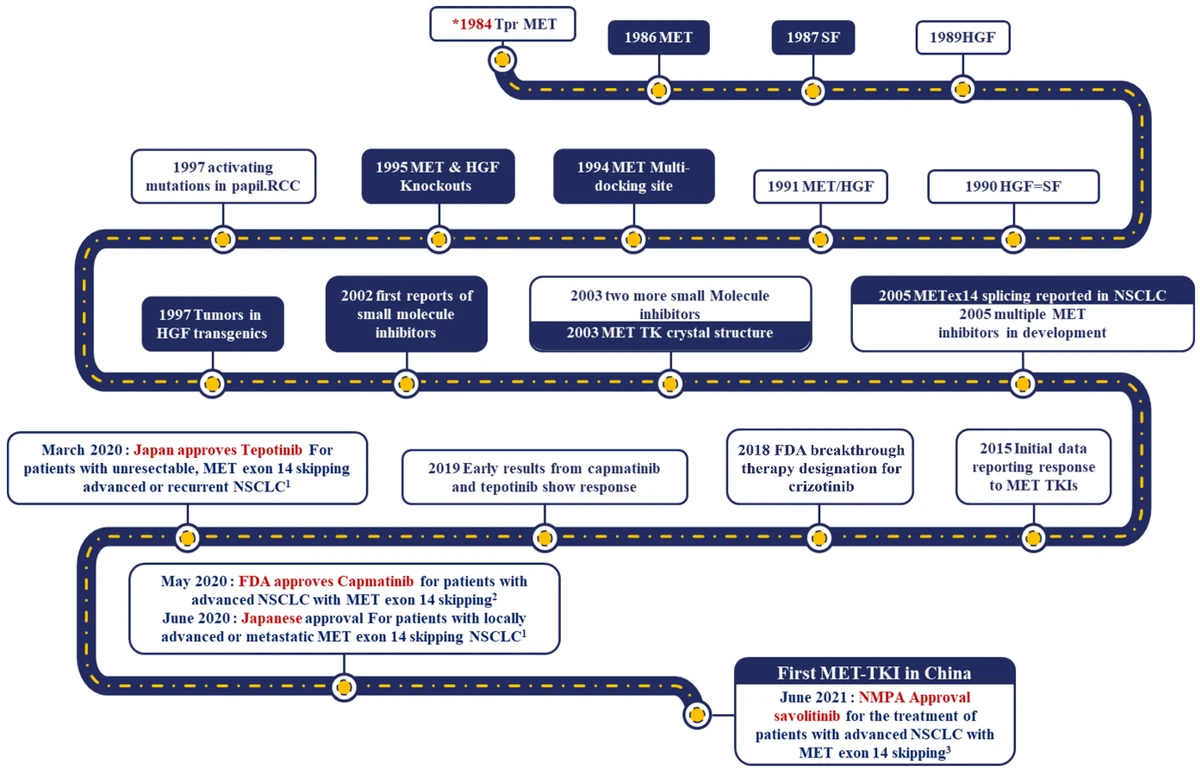 Step-by-step guide to beta calculation in perpetual futures_2